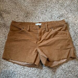 Carve designs Oahu Shorts